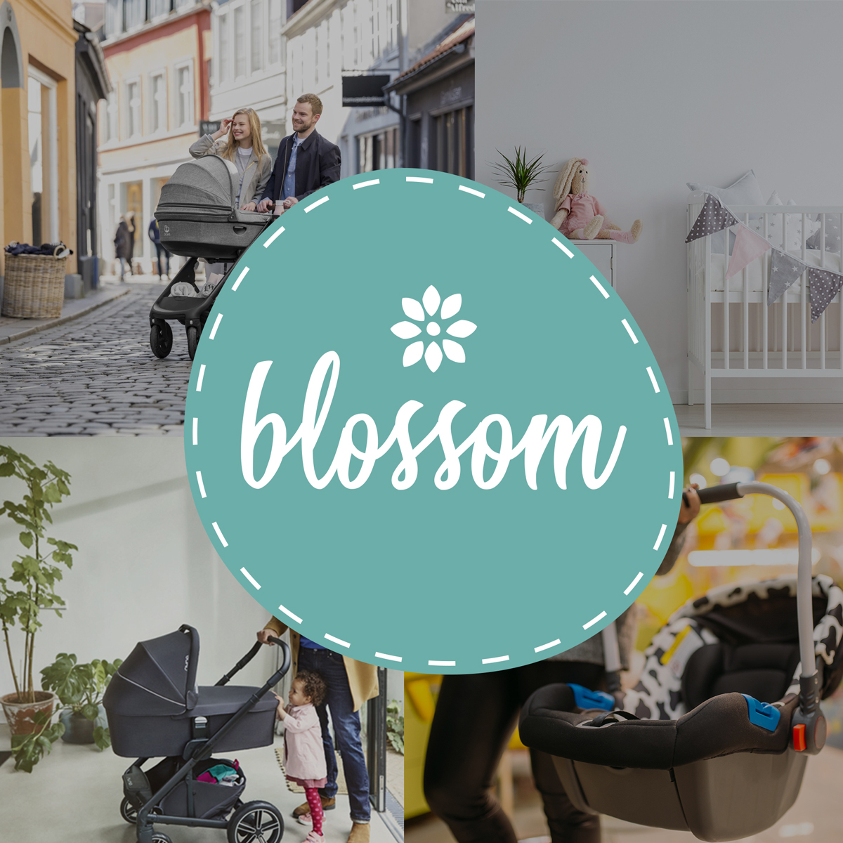 blossombg